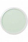 PanPastel Colors: 640.8 Permanent Green Tint
