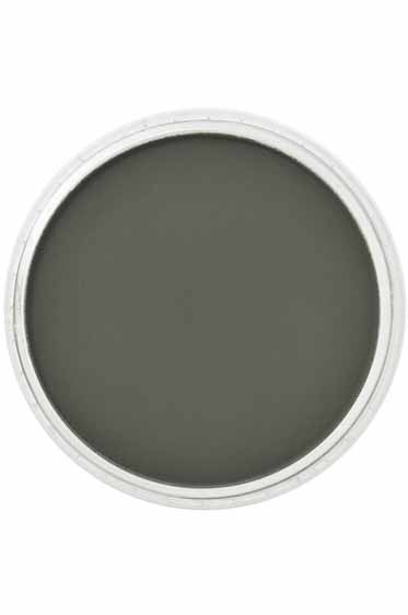 PanPastel Colors: 640.8 Permanent Green Tint