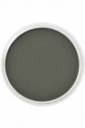 PanPastel Colors: 660.1 Chromium Green Extra Dark