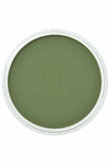 PanPastel Colors: 660.1 Chromium Green Extra Dark