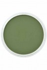PanPastel Colors: 660.3 Chromium Oxide Green Shade