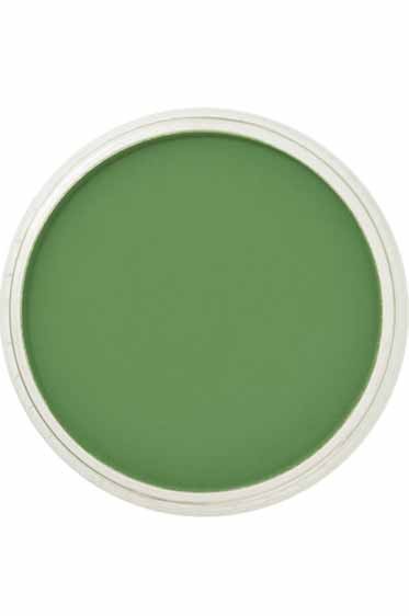PanPastel Colors: 660.3 Chromium Oxide Green Shade