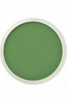 PanPastel Colors: 660.5 Chromium Oxide Green
