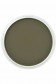 PanPastel Colors: 660.8 Chromium Oxide Green Tint