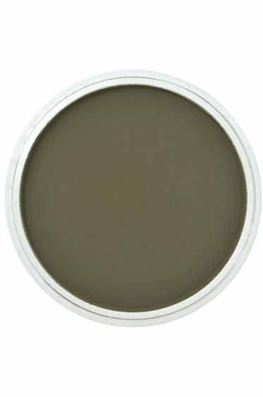 PanPastel Colors: 660.8 Chromium Oxide Green Tint