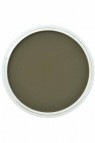 PanPastel Colors: 680.1 Bright Yellow Green Extra Dark