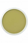 PanPastel Colors: 680.3 Bright Yellow Green Shade