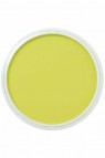 PanPastel Colors: 680.5 Bright Yellow Green