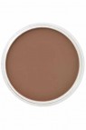 PanPastel Colors: 740.3 Burnt Sienna Shade