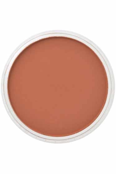 PanPastel Colors: 740.3 Burnt Sienna Shade
