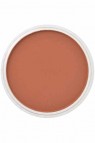 PanPastel Colors: 740.5 Burnt Sienna
