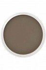 PanPastel Colors: 780.3 Raw Umber Shade