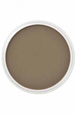 PanPastel Colors: 780.5 Raw Umber