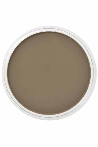 PanPastel Colors: 780.3 Raw Umber Shade