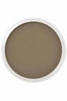 PanPastel Colors: 780.5 Raw Umber