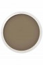 PanPastel Colors: 780.5 Raw Umber