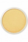 PanPastel Colors: 910.5 Metallic Light Gold