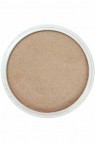 PanPastel Colors: 930.5 Metallic Bronze