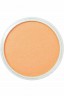 PanPastel Colors: 952.5 Pearlescent Orange