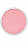 PanPastel Colors: 953.5 Pearlescent Red