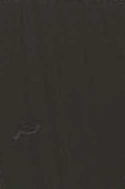 Golden Heavy Body Acrylic: Raw Umber 59ml