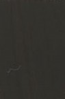Golden Heavy Body Acrylic: Raw Umber 59ml
