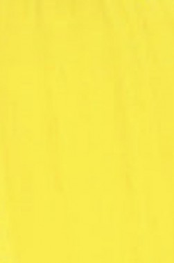 Golden Heavy Body Acrylic: Cadmium Yellow Medium Hue 946ml