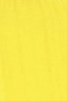 Golden Heavy Body Acrylic: Cadmium Yellow Medium Hue 946ml
