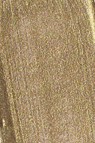 Golden Heavy Body Acrylic: Iridescent Gold Deep Fine 237ml
