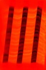 Golden Fluid Acrylic: Fluorescent Red 118ml
