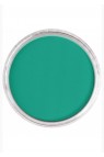 PanPastel Colors: 620.5 Phthalo Green