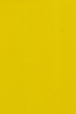 Maimeri Acrilico Acrylic: Permanent Yellowish Green 200ml