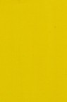 Maimeri Acrilico Acrylic: Permanent Yellowish Green 200ml