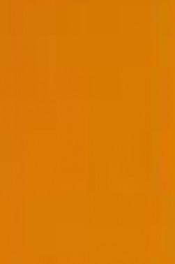 Maimeri Acrilico Acrylic: Bronze 200ml
