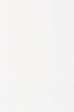 Maimeri Acrilico Acrylic: Mixing White 500ml