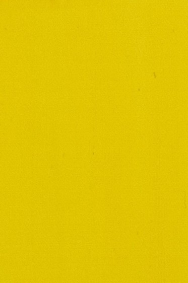 Maimeri Acrilico Acrylic: Pemranent Lemon Yellow 200ml