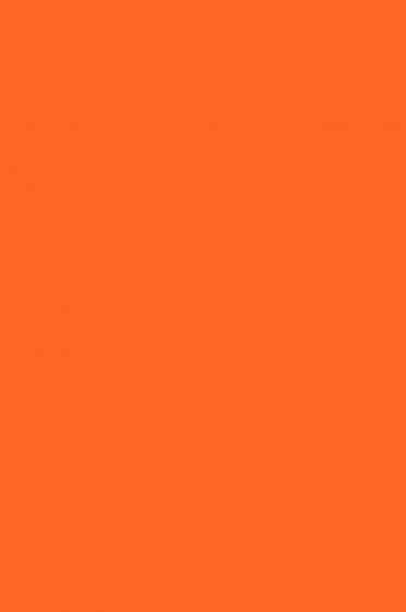 Createx Wicked Colors: Orange 59ml