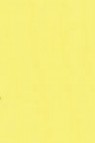 Golden Open Acrylic: C.P Cadmium Yellow Primrose 59ml