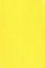 Golden Open Acrylic: C.P Cadmium Yellow Medium 59ml