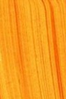 Golden Open Acrylic: Indian Yellow Hue 59ml
