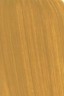 Golden Open Acrylic: Yellow Oxide 59ml