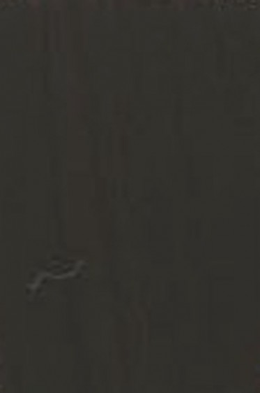 Golden Open Acrylic: Raw Umber 59ml