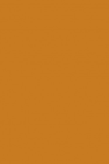 Derivan Student Acrylic Paint: Raw Seinna 75ml