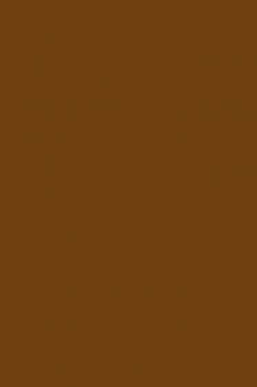 Derivan Student Acrylic Paint: Raw Umber 75ml