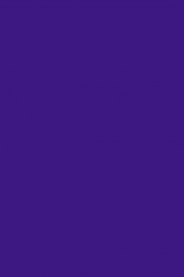 Createx Wicked Colors: Violet59ml