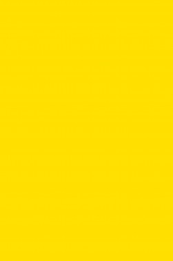 Derivan Student Acrylic Paint: Yellow Deep 75ml
