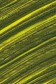 Williamsburg Oil: Olive Green 37ml