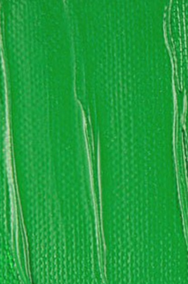 Liquitex Heavy Body Acrylic: Permanent Green Light 59ml