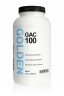Golden Acrylic Medium: Polymer GAC 100  946ml