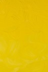 Gamblin 1980 Oil: Hansa Yellow Medium 37ml